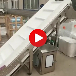Food Grade Incline Conveyor for Meat, Nuts, Candy, etc. Video